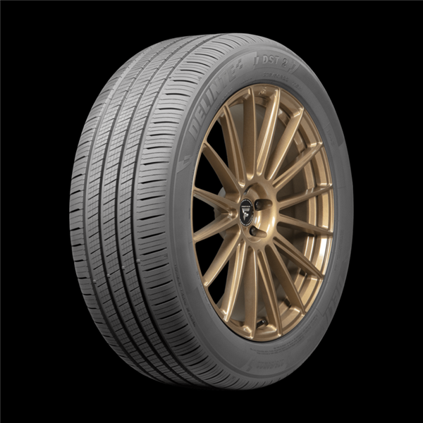 225/65R17 DELINTE DST2 102H M+S 560AA**55K**+ROAD HAZARD