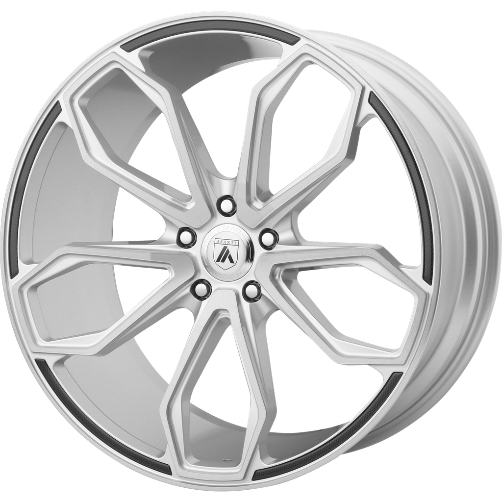 ABL19 20X10 BLANK BRUSHED SLV (108-130)