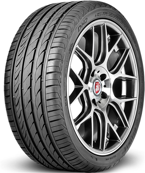 255/40R19 DELINTE DH2 101Y BW PCR A/S**50K**+ROAD HAZARD